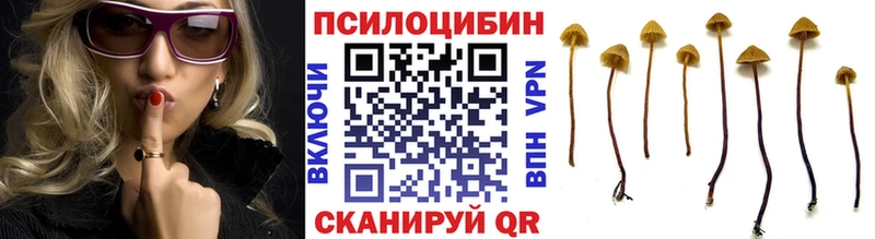 Галлюциногенные грибы мицелий  Воткинск 
